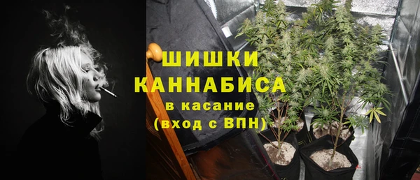 бошки Алексин