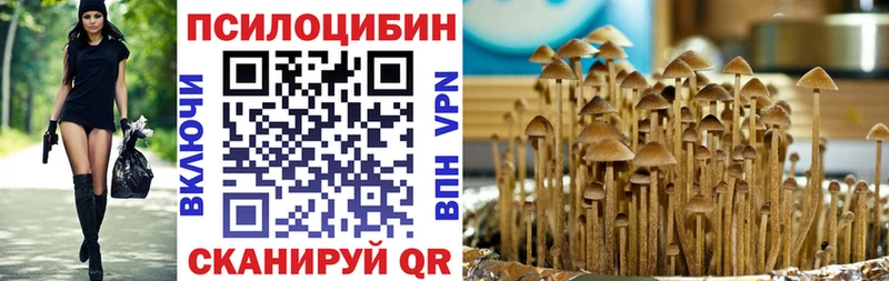 KRAKEN рабочий сайт  Сосновка  Псилоцибиновые грибы прущие грибы 